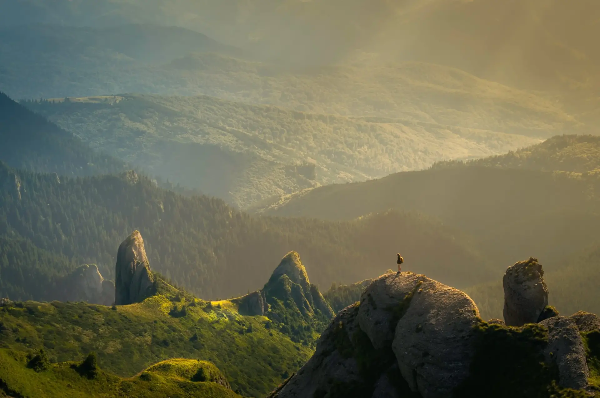 david marcu 78A265wPiO4 unsplash scaled