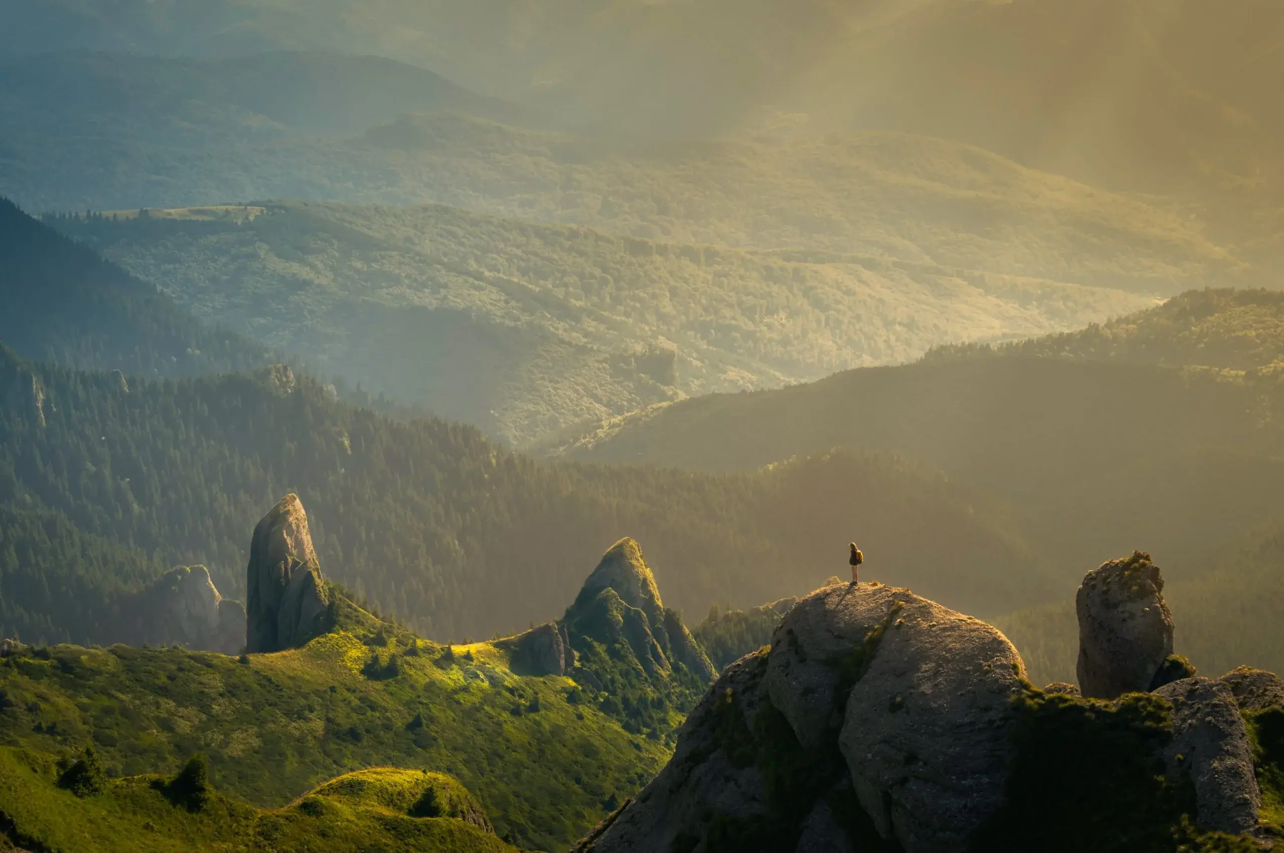 david marcu 78A265wPiO4 unsplash scaled
