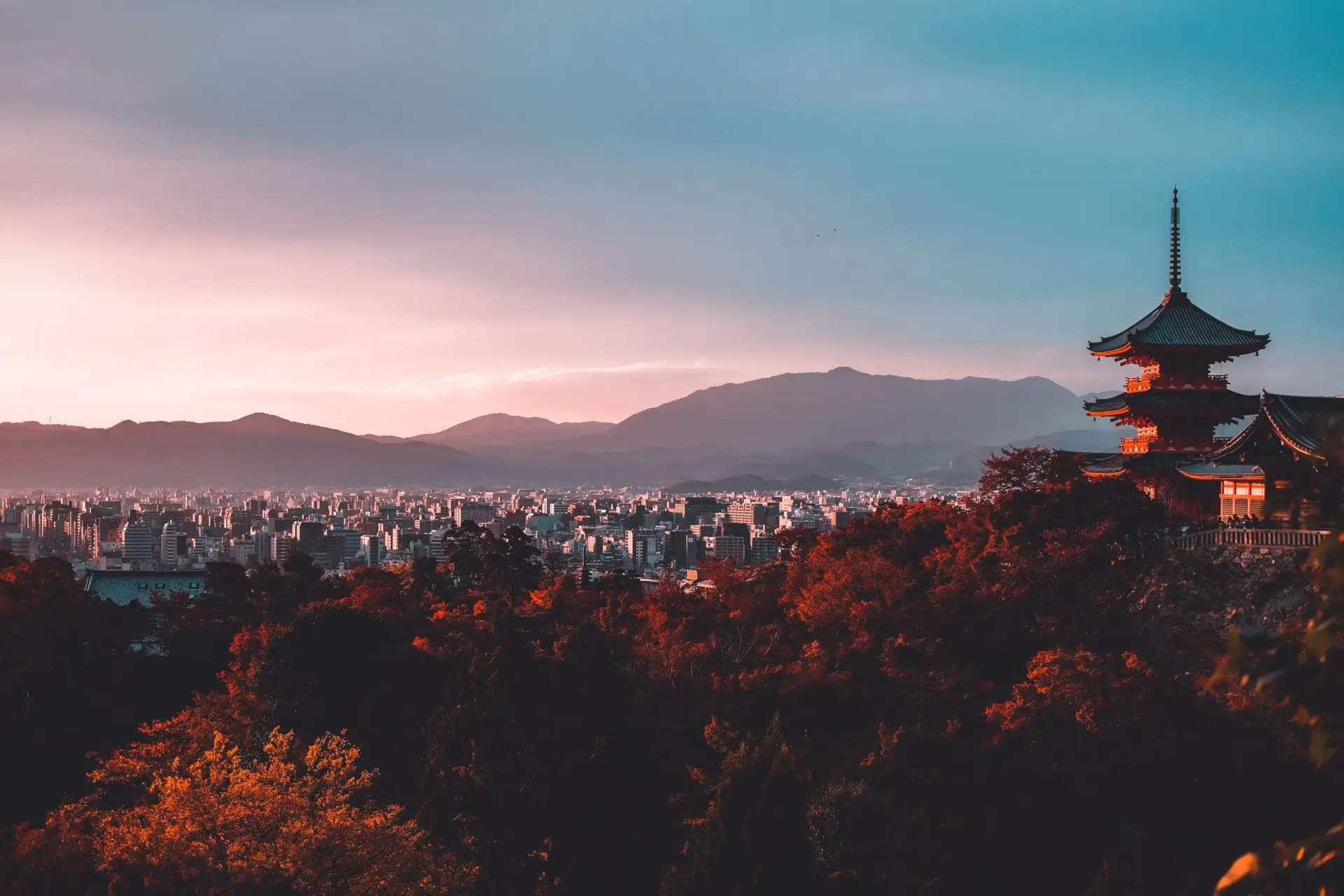 su san lee E eWwM29wfU unsplash scaled